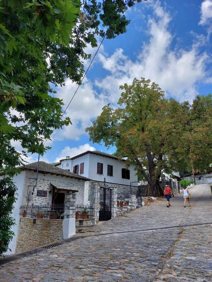 Θετισ Hotel Vizitsa Bagian luar foto