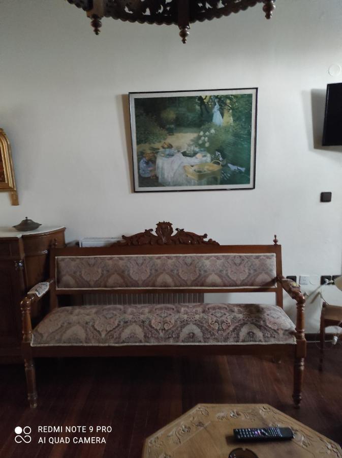 Θετισ Hotel Vizitsa Bagian luar foto