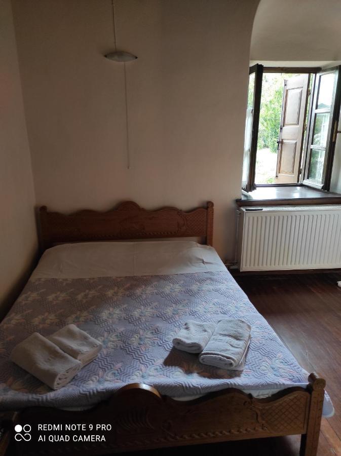 Θετισ Hotel Vizitsa Bagian luar foto